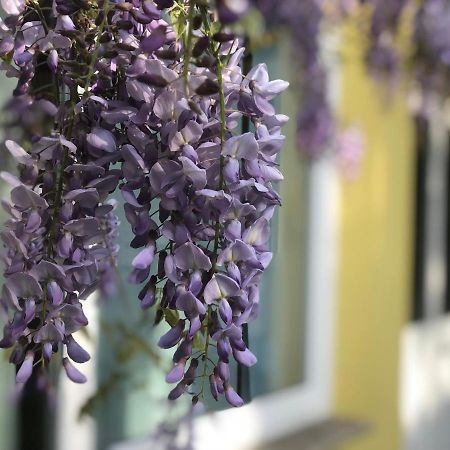 Apartament Loft Sottolalbero Mediolan Zewnętrze zdjęcie