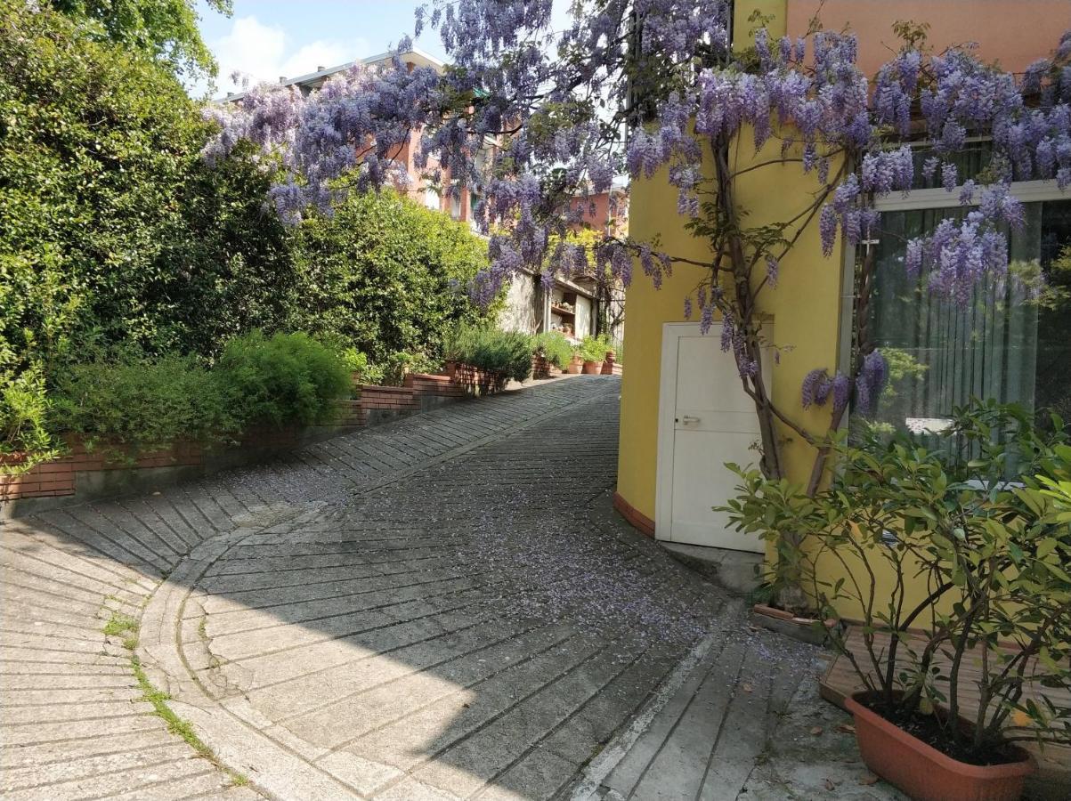 Apartament Loft Sottolalbero Mediolan Zewnętrze zdjęcie